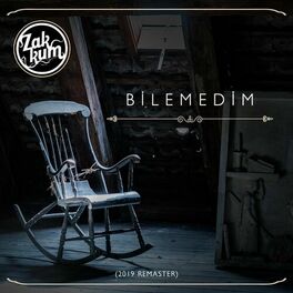 Album cover of Bilemedim (2019 Remaster)