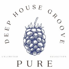 Album cover of Pure Deep Groove