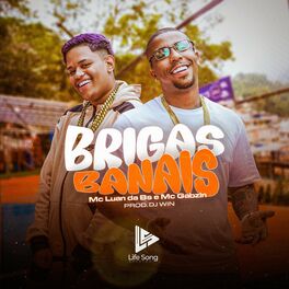 Album cover of Brigas Banais