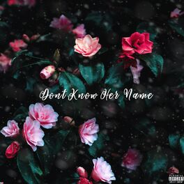 Album cover of Don't Know Her Name