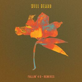 Album cover of Fallin' 4 U (Remixes)