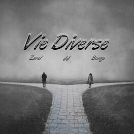 Album cover of Vie Diverse (feat. Bonga & Zarel)