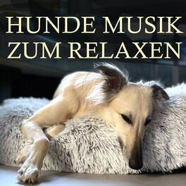 Album cover of Hunde Musik zum Relaxen
