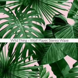 Album cover of Wild Thing