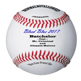 Album cover of Bleed Blue