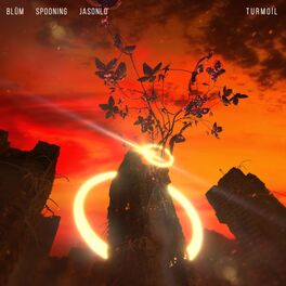 Album cover of Turmoil