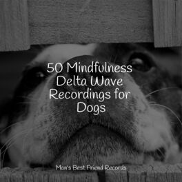 Album cover of 50 Mindfulness Delta Wave Recordings for Dogs