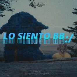 Album cover of Lo Siento BB:/ (Mashup) (Remix)