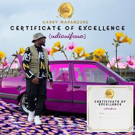 Album cover of Certificate of Excellence (Ndianifuna)