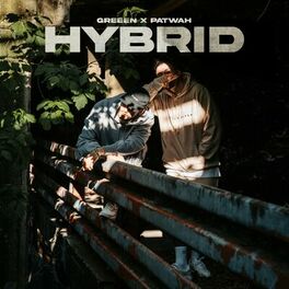 Album cover of Hybrid
