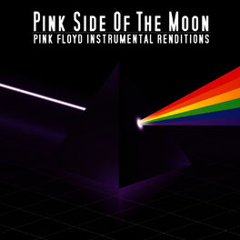 Album cover of Pink Floyd Instrumental Renditions
