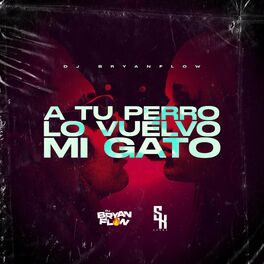 Album cover of A Tu Perro Lo Vuelvo Mi Gato