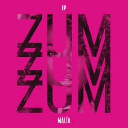 Album cover of Zum Zum Zum