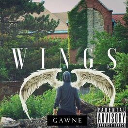 Album cover of Wings
