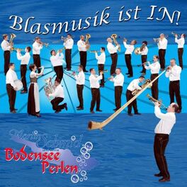 Album cover of Blasmusik ist In