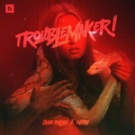 Album cover of Trouble Maker