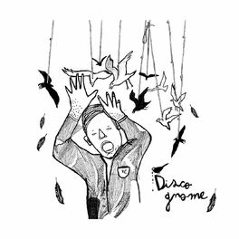 Album cover of Disco Gnome