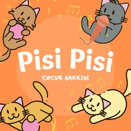 Album cover of Pisi Pisi (Kedinin Patisi)