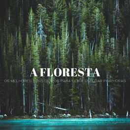 Album cover of A Floresta: Os Melhores Sons De Rios Para Ler E Estudar Por Horas