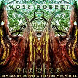 Album cover of Flowing