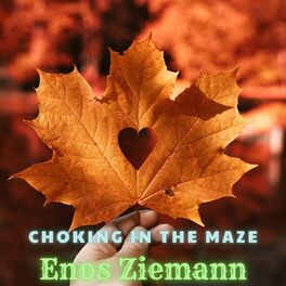 Album cover of Choking In The Maze