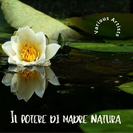 Album cover of Il potere di madre natura