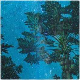 Album cover of Entity
