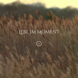 Album cover of Lebe im Moment