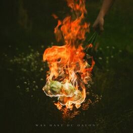 Album cover of WAS HAST DU DAVON