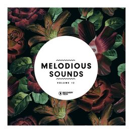 Album cover of Melodious Sounds, Vol. 12