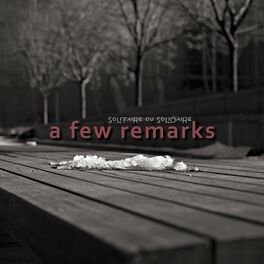 Album cover of A Few Remarks