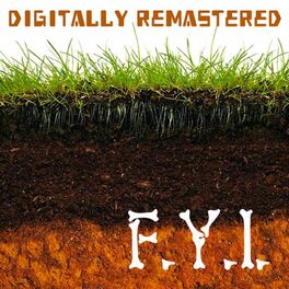 Album cover of F.Y.I. (Digitally Remastered)