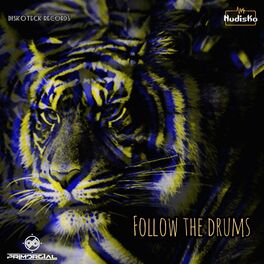 Album cover of Follow the Drums