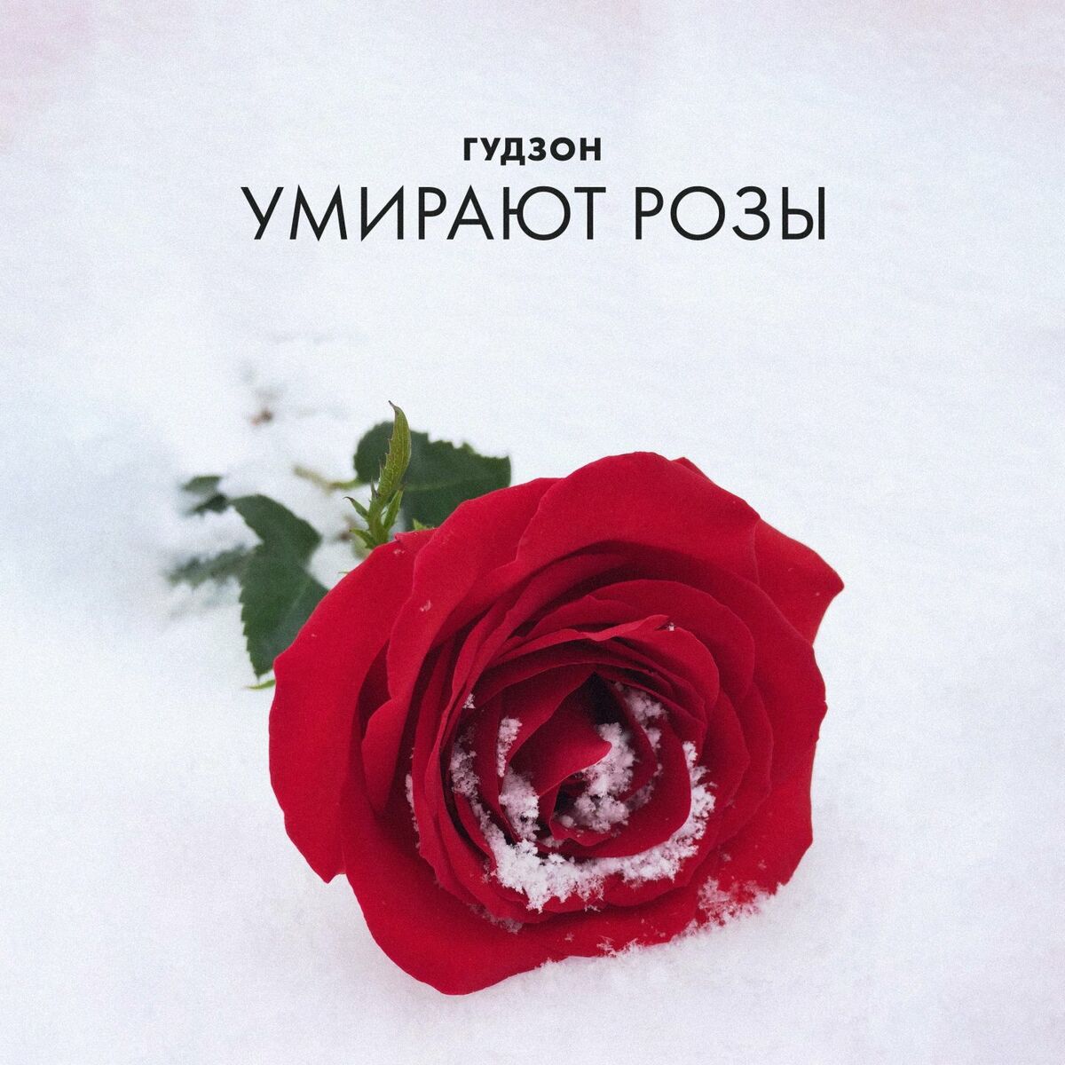 Гудзон - Умирают розы: тексты и песни | Deezer