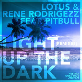 Album cover of Light up the Dark (Remixes) (feat. Pitbull)