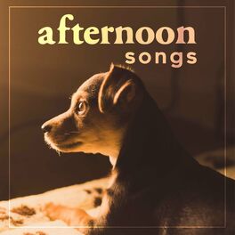 Album cover of Afternoon Songs