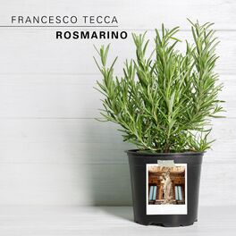 Francesco Tecca - Non è colpa mia: lyrics and songs