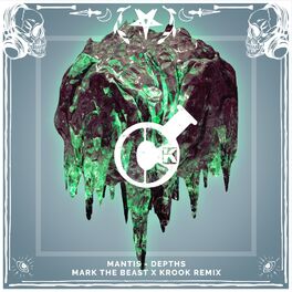 Album cover of Depths (Mark The Beast x Krook Remix)