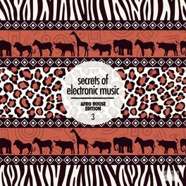 Album cover of Secrets of Electronic Music: Afro House Edition, Vol. 3