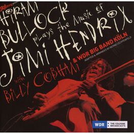 Album cover of Hiram Bullock Plays The Music Of Jimi Hendrix