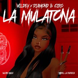 Album cover of La Mulatona