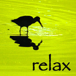 Album cover of Relax – Anti Stress New Age Music