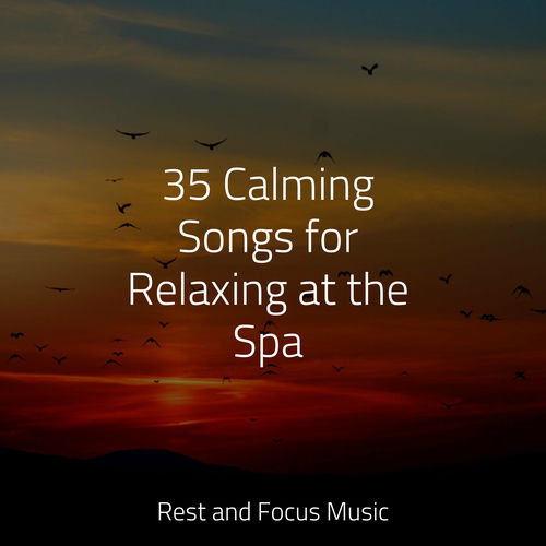 Best Kids Songs 35 Calming Songs for Relaxing at the Spa letras de