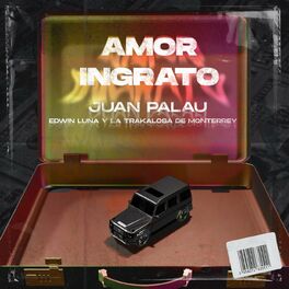 Album cover of Amor Ingrato