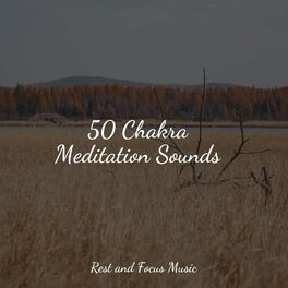 Album cover of 50 Chakra Meditation Sounds
