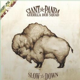 Album cover of Slow Down