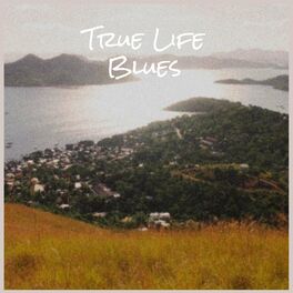 Album cover of True Life Blues