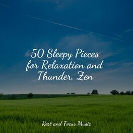 Album cover of 50 Sleepy Pieces for Relaxation and Thunder, Zen