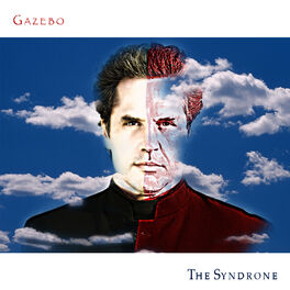 Album cover of The Syndrone