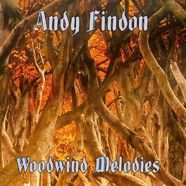 Album cover of Woodwind Melodies